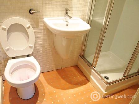 195797_En suite.JPG