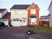 1012_332_IMG_00.JPG