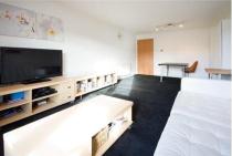 living room 1.jpg