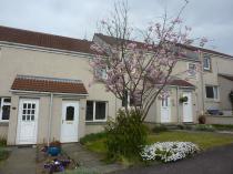 Kippielaw