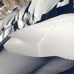 SNOW FILM FEST