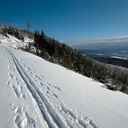 Oddílové běžky 2015