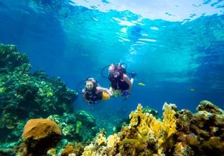 Sandals Inn Montego Bay Hotel