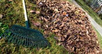 Sign Up For Garden Waste Collections