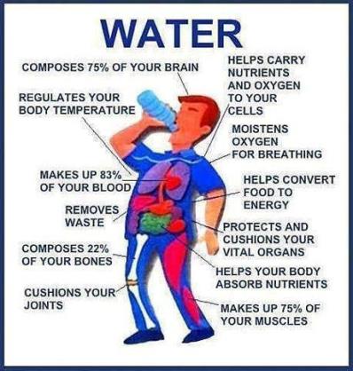 Waarom is water voor ons belangrijk
