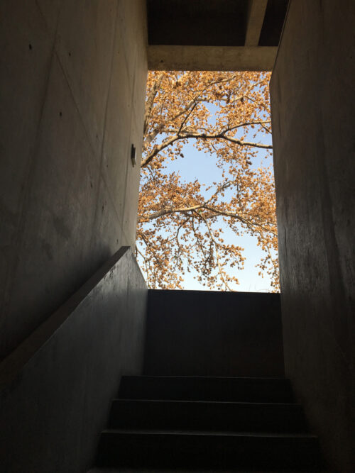 Words on the opening of Displaced Longitude at CEPT University, Ahmedabad - 3rd Apr 2019