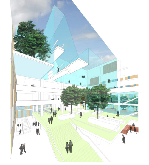 Freiburg Library Competition