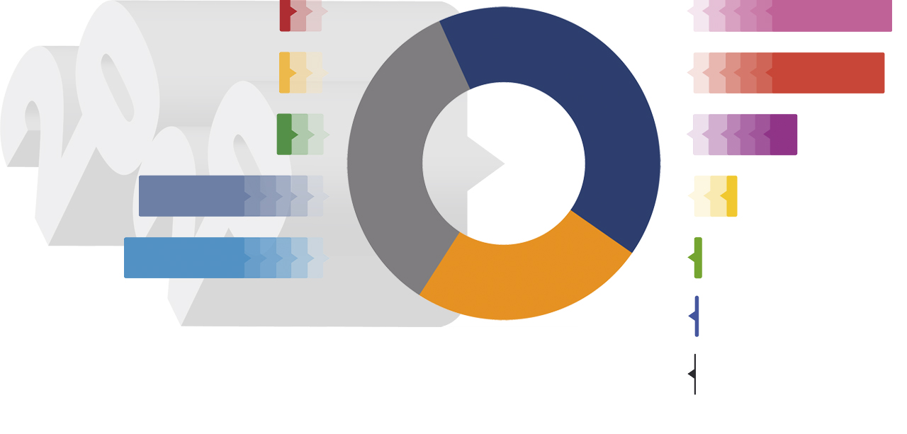 DG_Balance_RRSS_2020