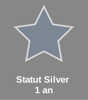 Statut silver 1 an