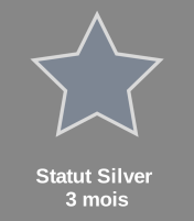 Statut silver 3 mois
