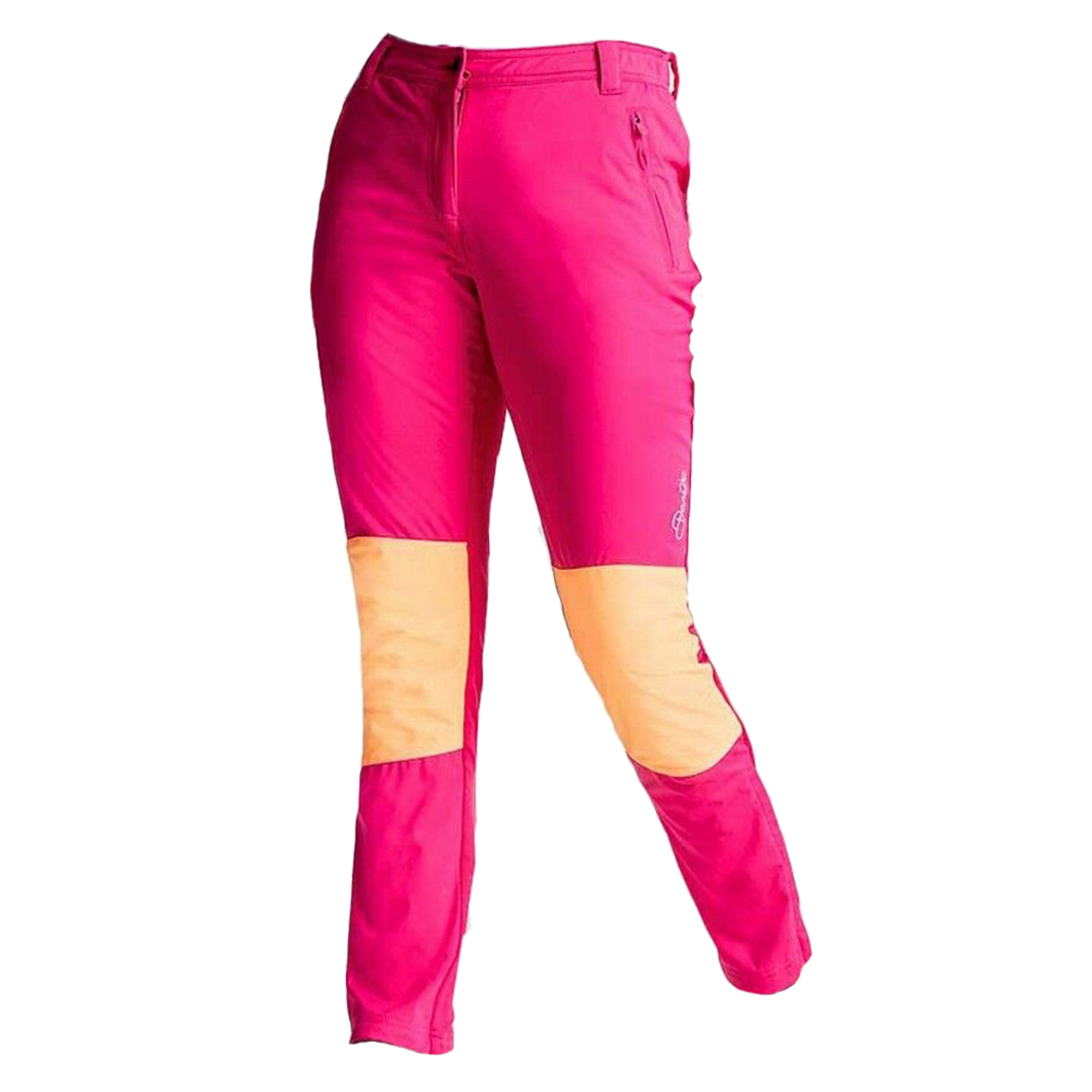 Dare 2B Womens/Ladies Append Slim Fit Ski Pants | eBay