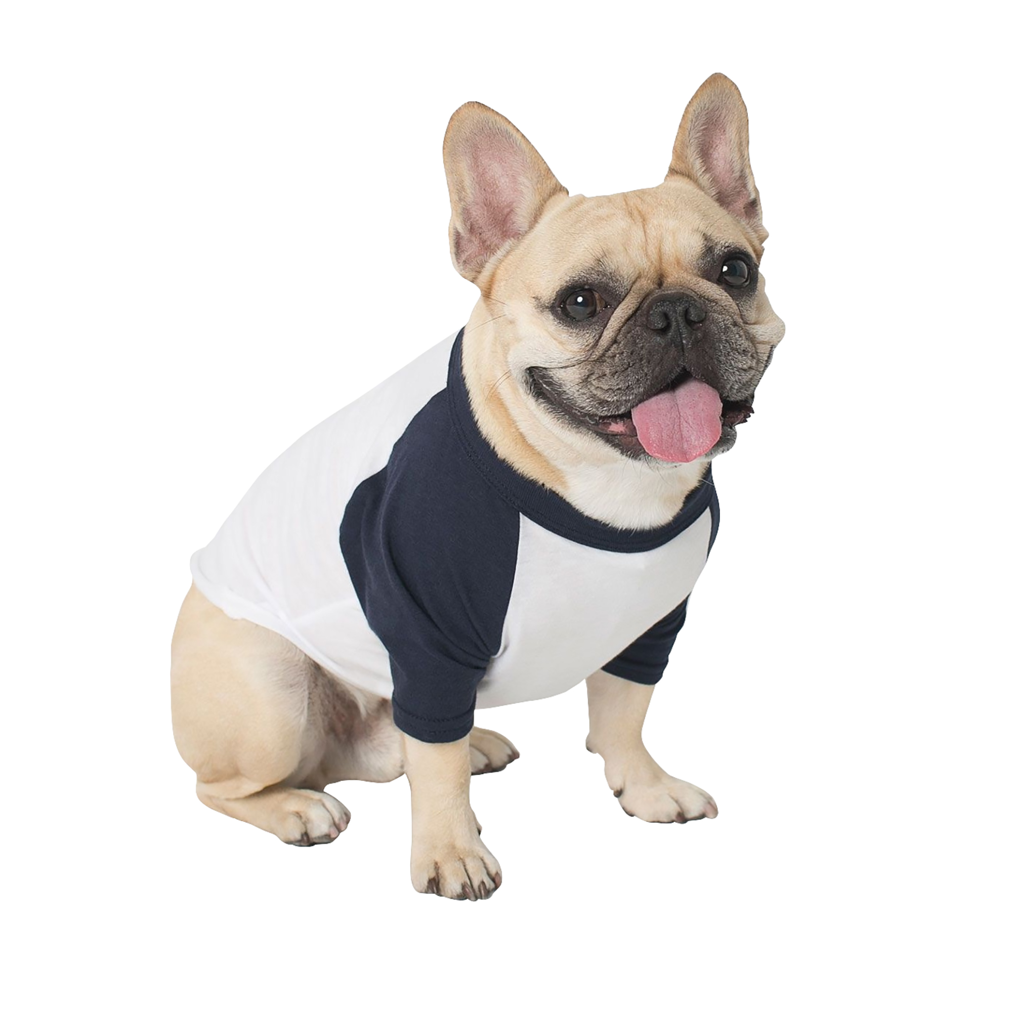 American Apparel Two Tone Sleeve Dog TShirt eBay