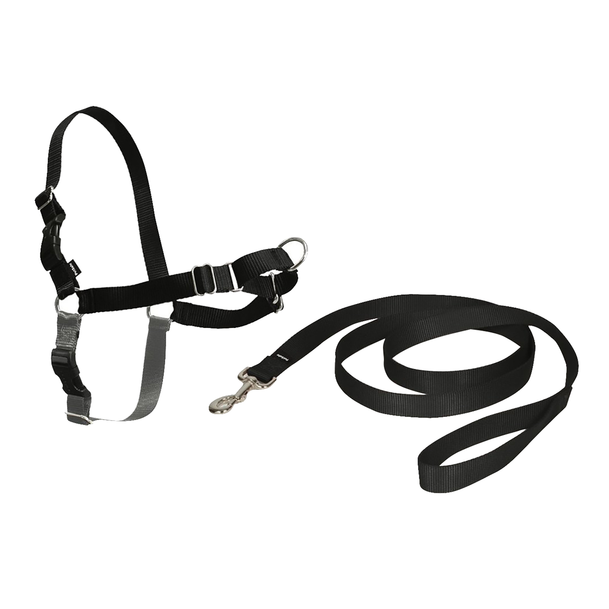 Easy Walk Dog Harness Australia Easy Walk Dog Harness Australia