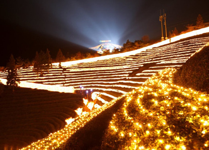 Festival de luces en el campo de té verde de Boseong