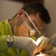 Dr. Antonio Iavarone