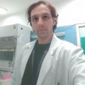 Donato Madalese