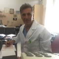 Pasquale Ascenzi