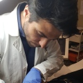 Francesco Simi