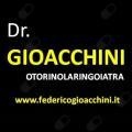 Federico Gioacchini