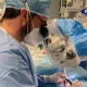 Dr. Giampaolo Restivo