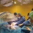 Dr. Placido Bruzzaniti