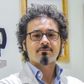 Dino Simone