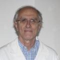 Alessandro Reggiani