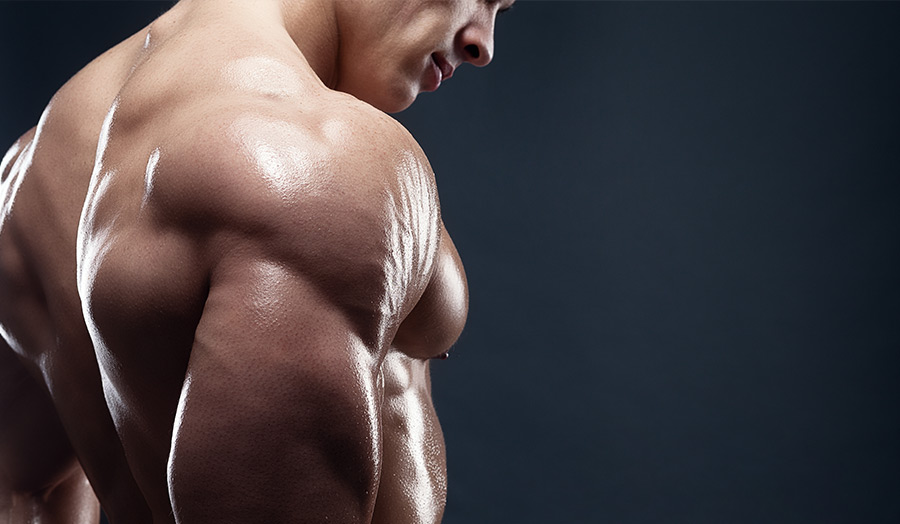 Muscle Food PT: Steve Ahern