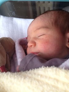 Img_0111