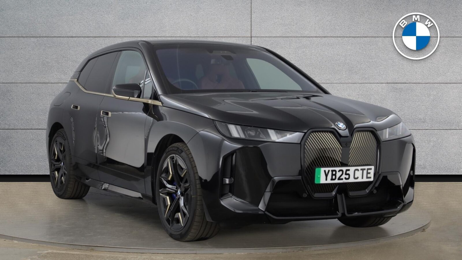 2025 BMW iX