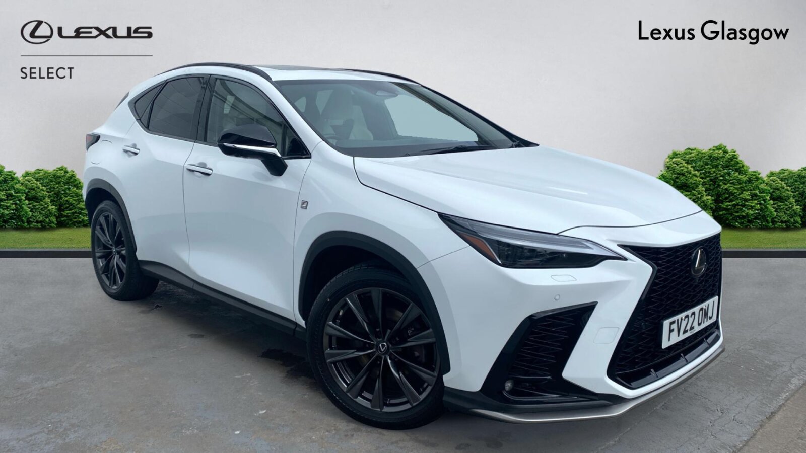 2022 Lexus NX