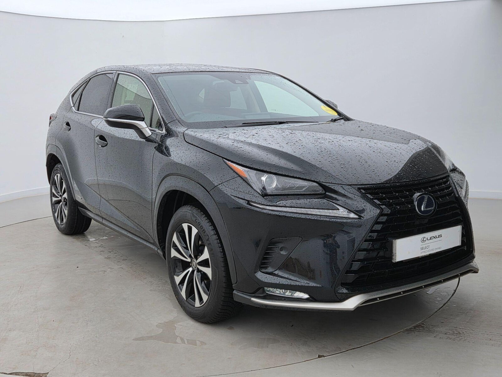 2021 Lexus NX
