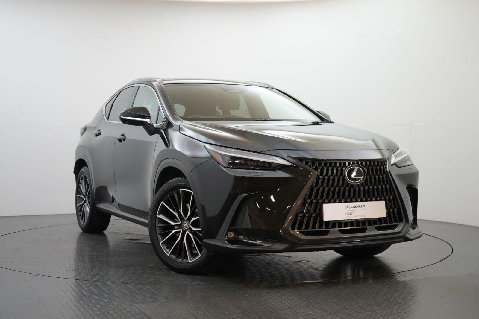 2024 Lexus NX