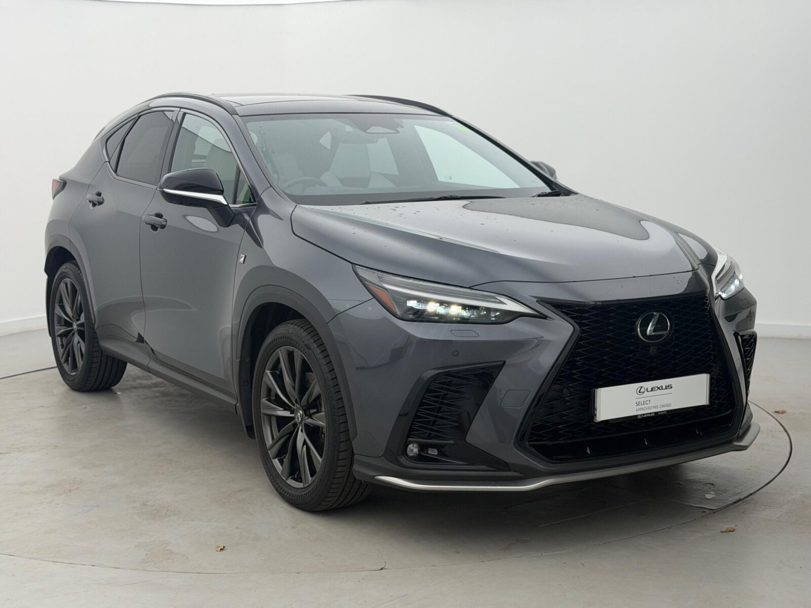 2024 Lexus NX