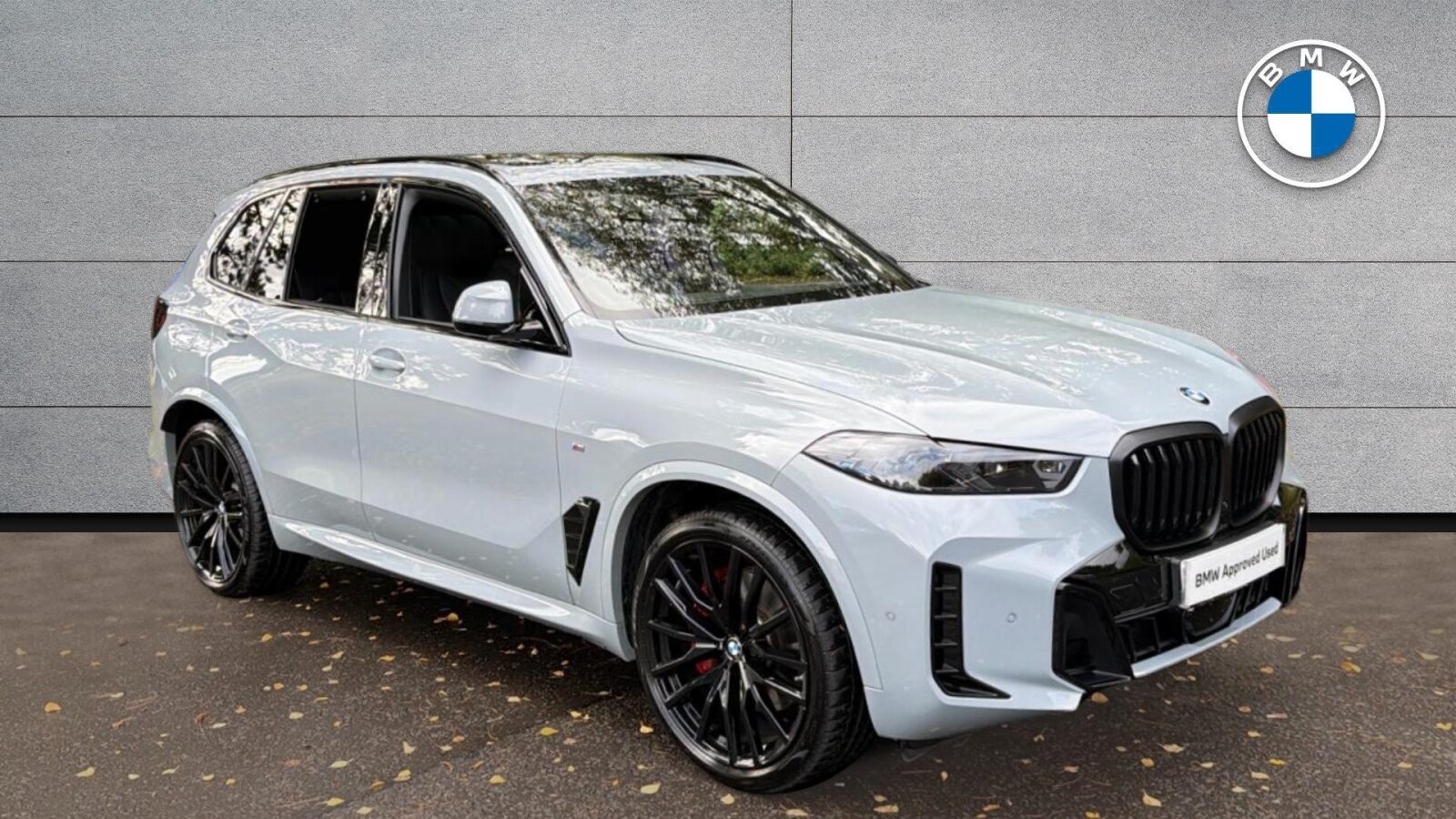 2025 BMW X5