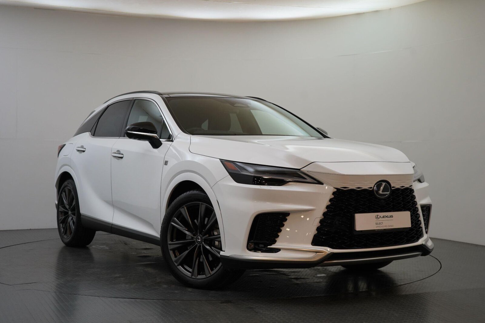 2025 Lexus RX