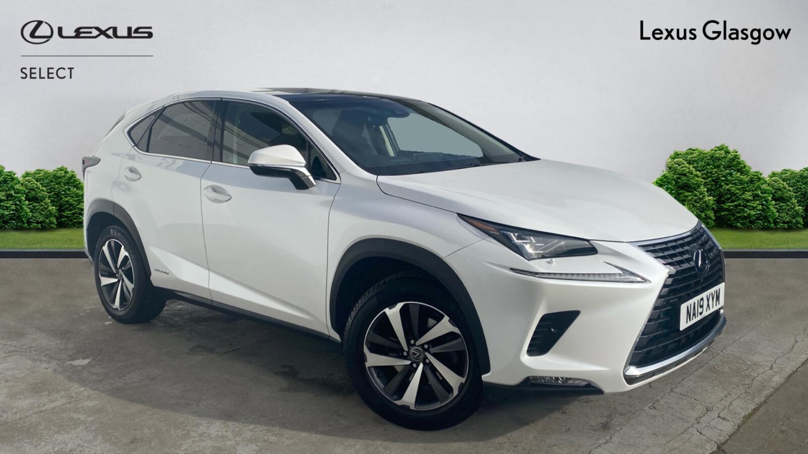2019 Lexus NX