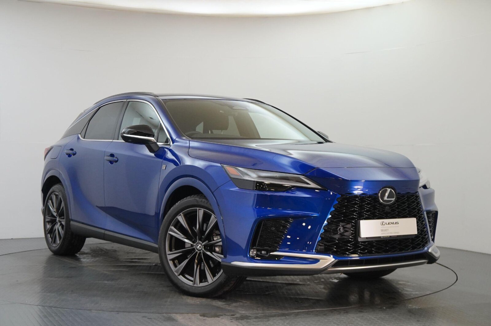 2025 Lexus RX