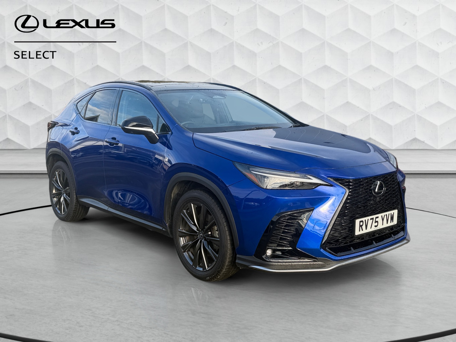 2025 Lexus NX