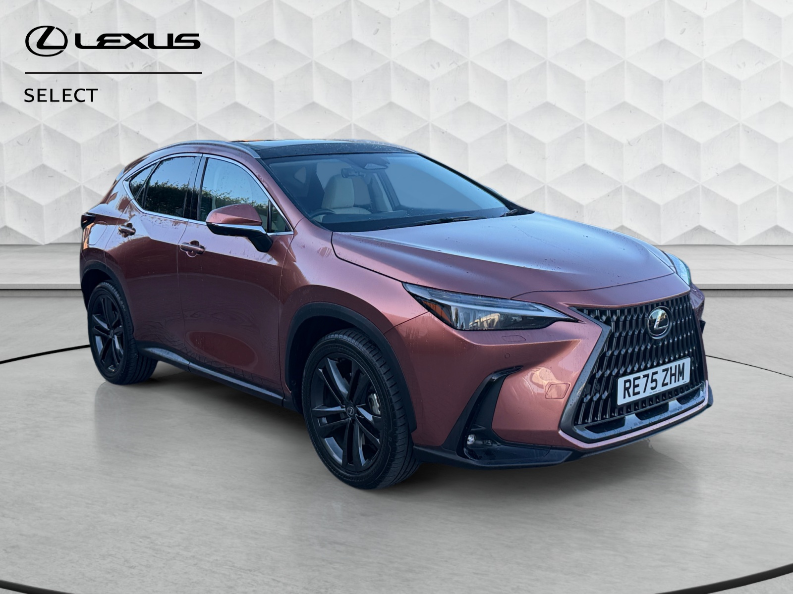 2026 Lexus NX