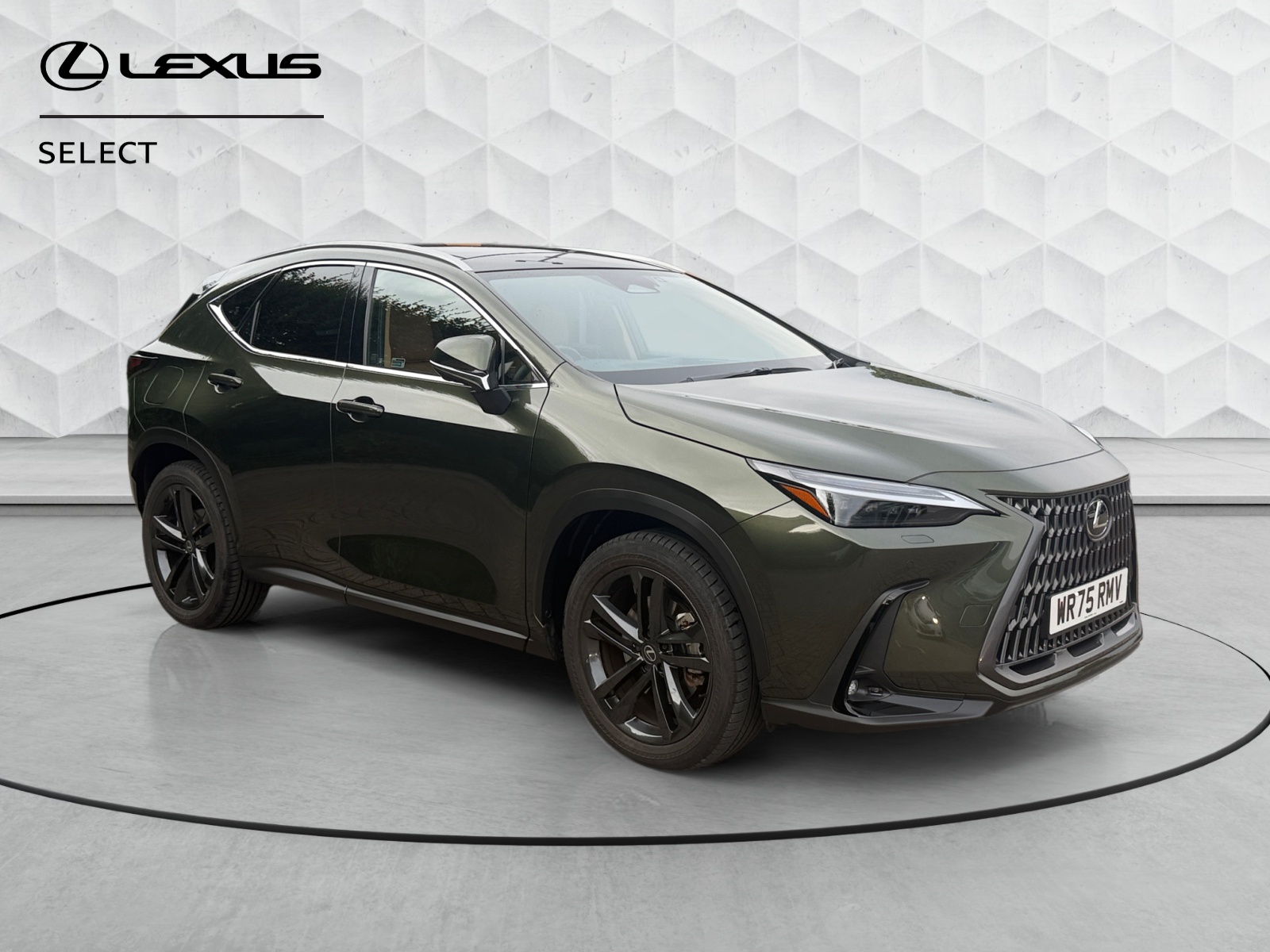 2025 Lexus NX