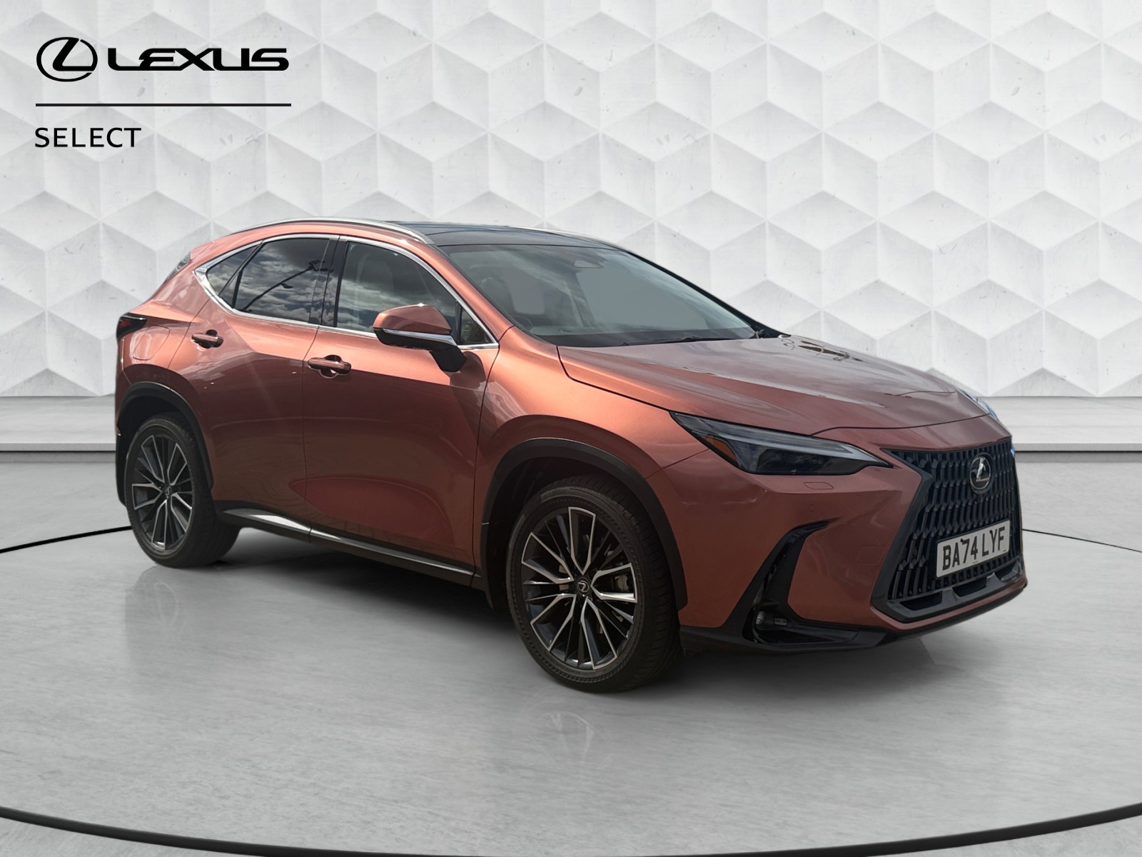 2025 Lexus NX
