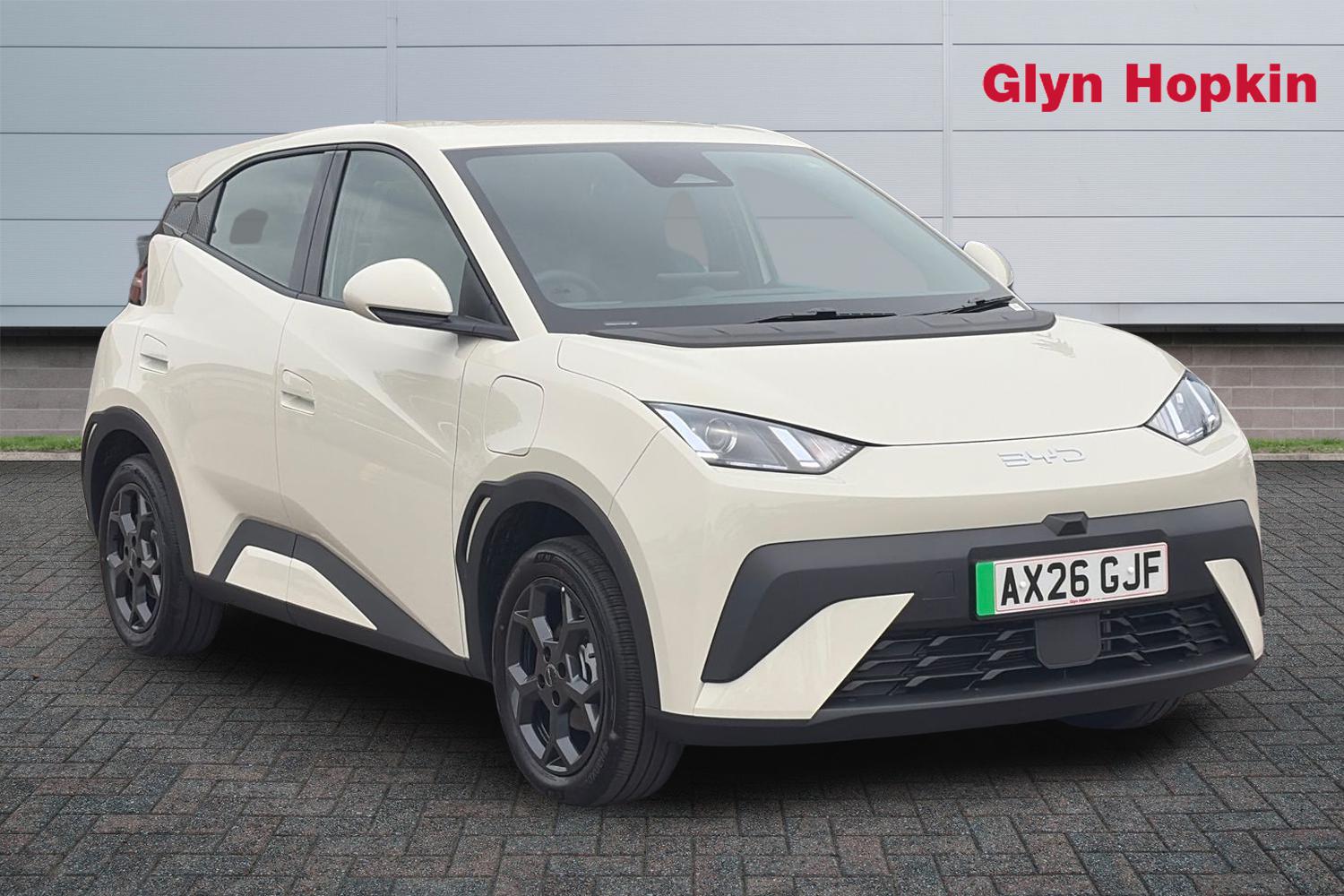 2026 Byd Dolphin Surf