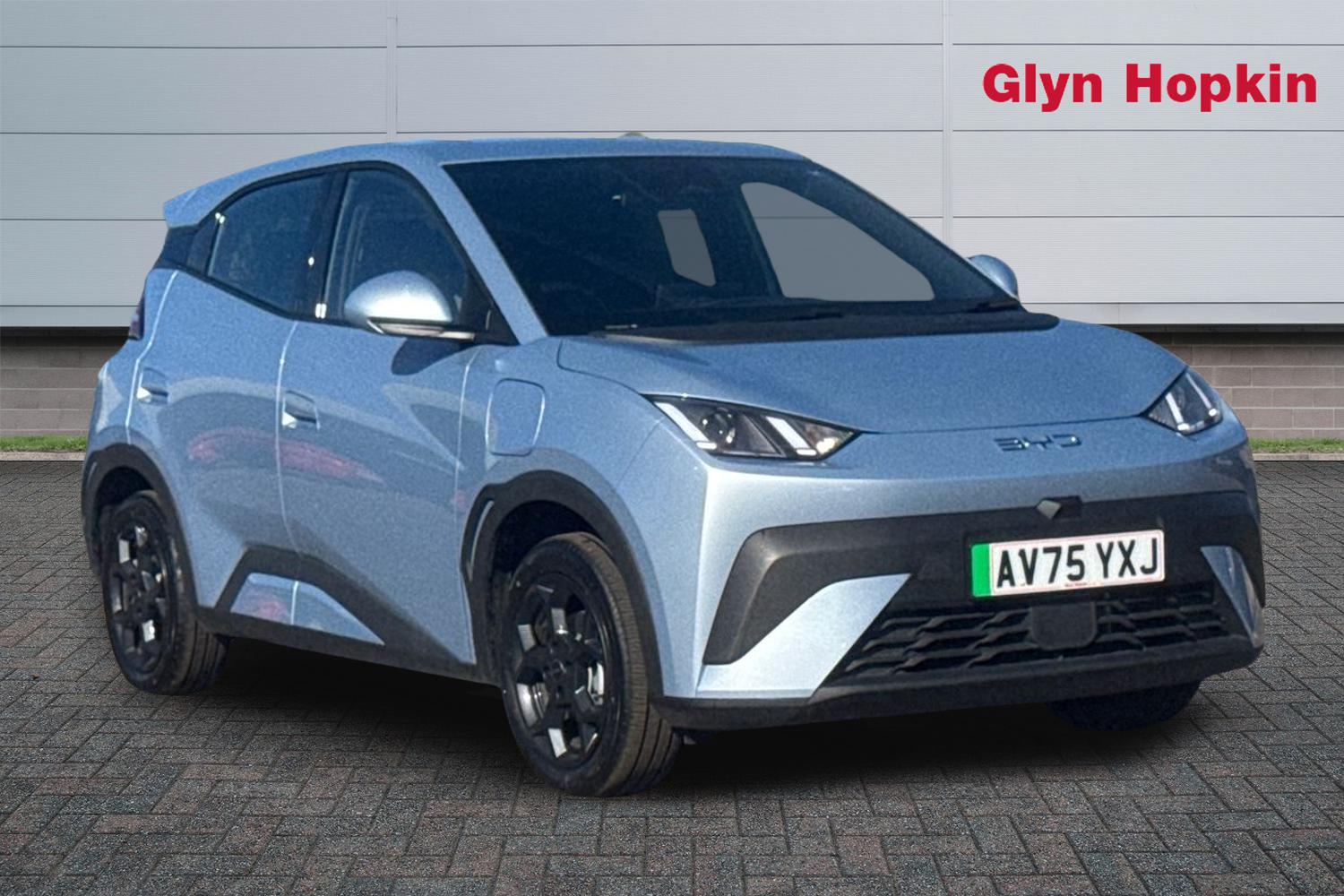 2025 Byd Dolphin Surf