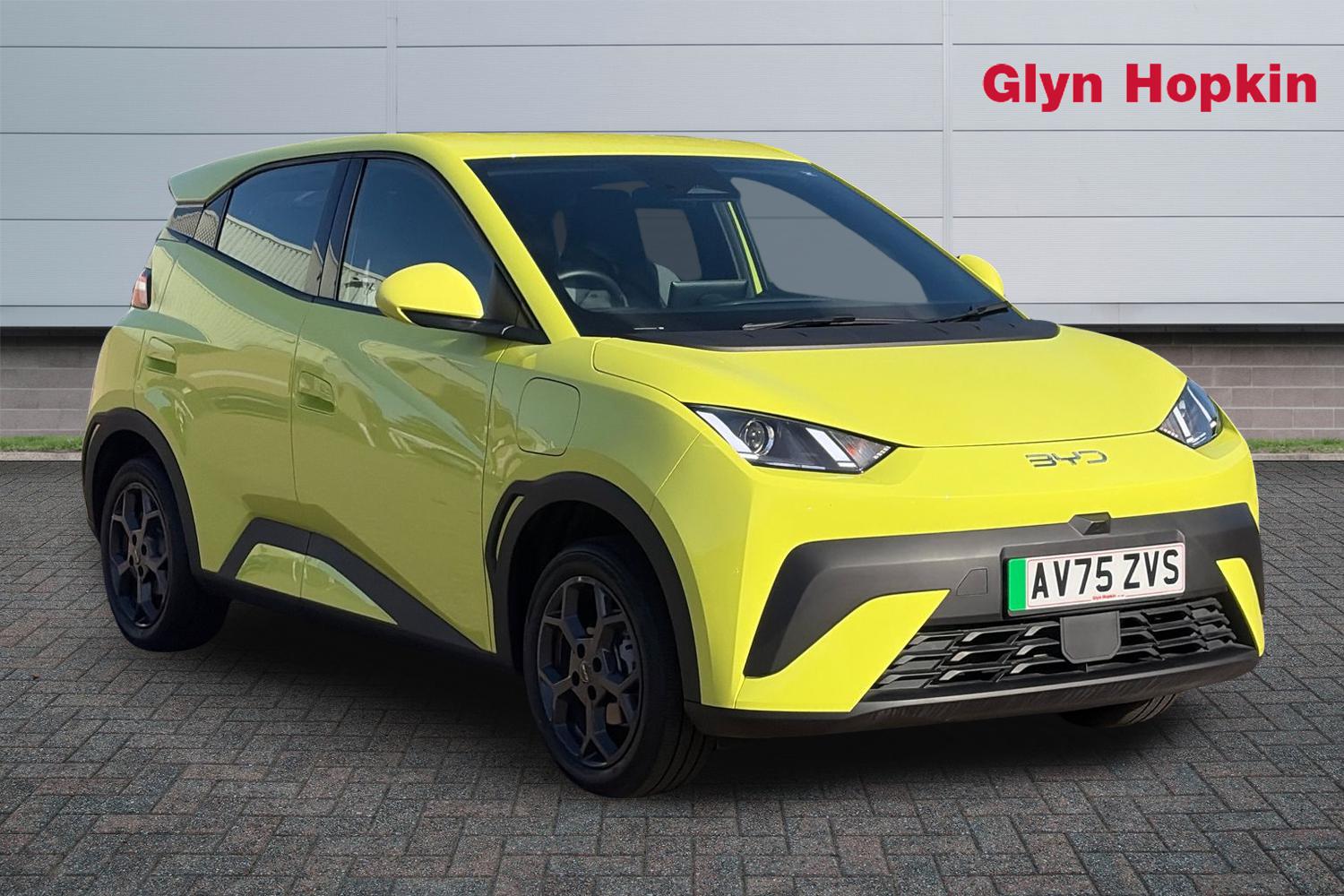2025 Byd Dolphin Surf