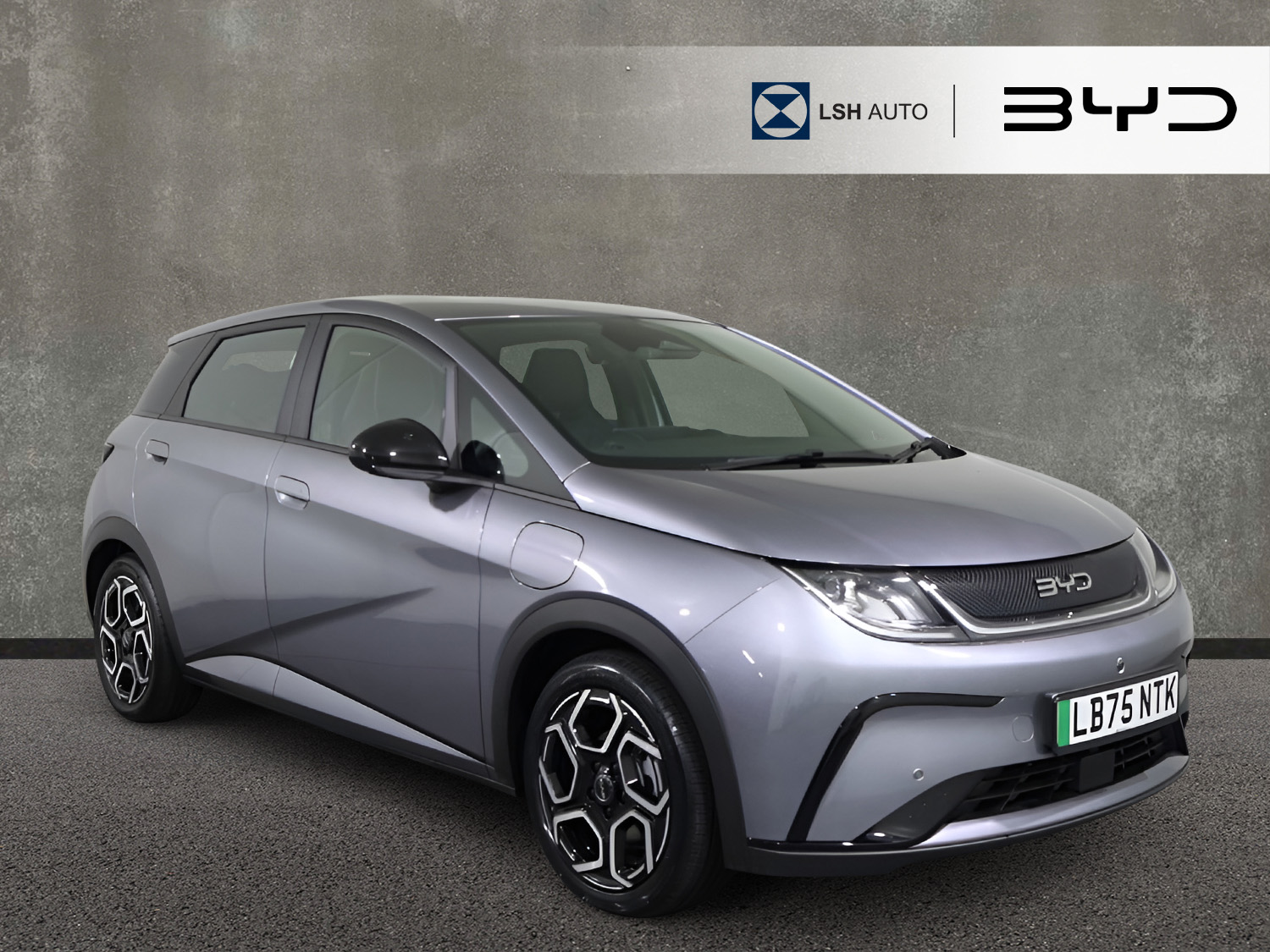 2025 Byd Dolphin