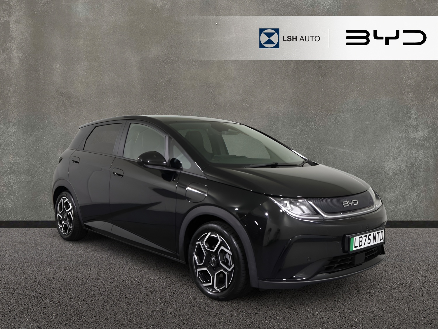 2025 Byd Dolphin