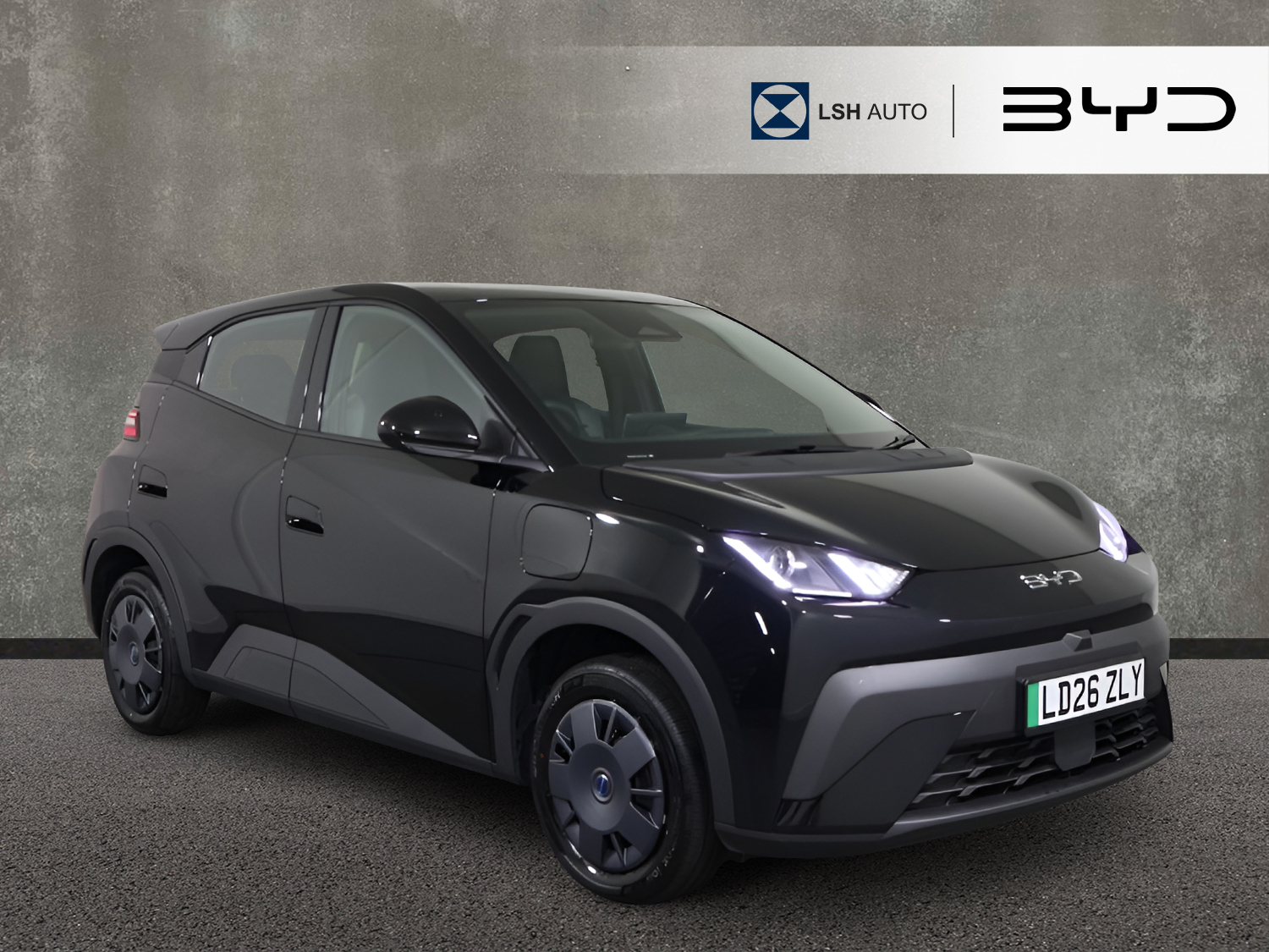 2026 Byd Dolphin Surf
