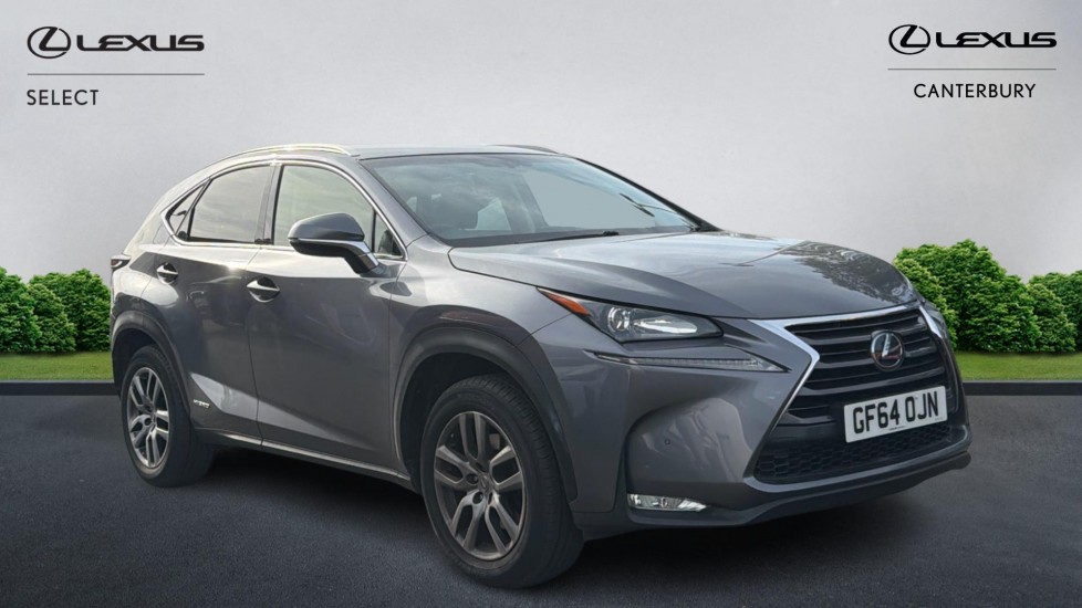 2014 Lexus NX