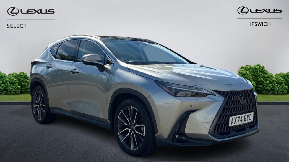 2025 Lexus NX